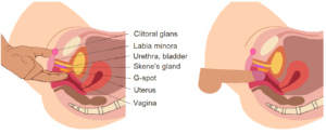 G-spot stimulation